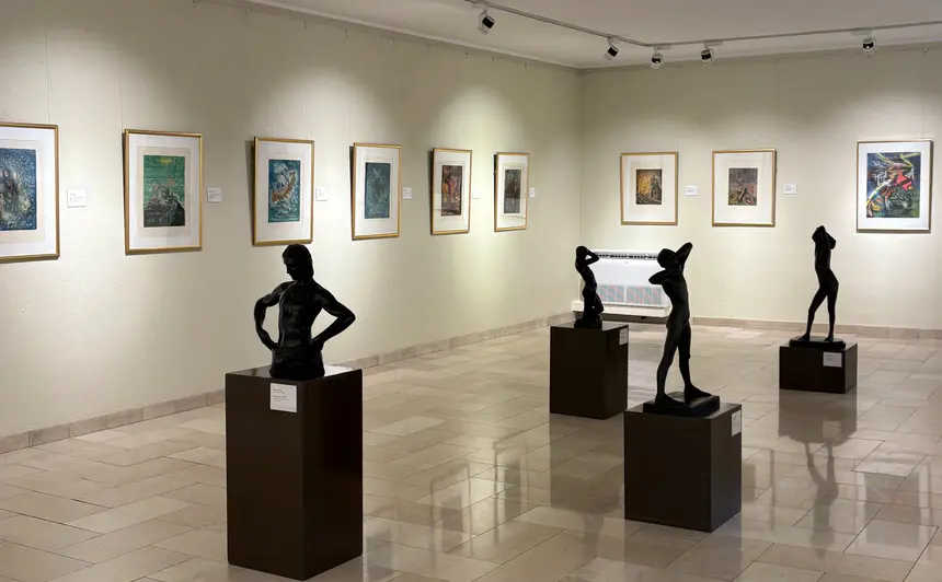 Museo Ralli Santiago