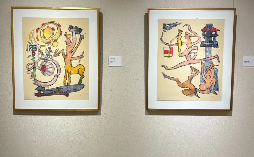 Museo Ralli Santiago